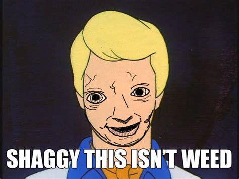 shaggy that wasn't weed|scooby doo catchphrases meme.